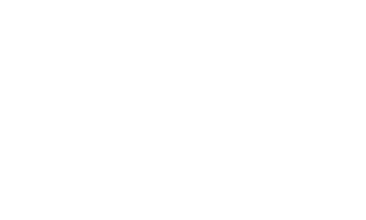 RUZ logo